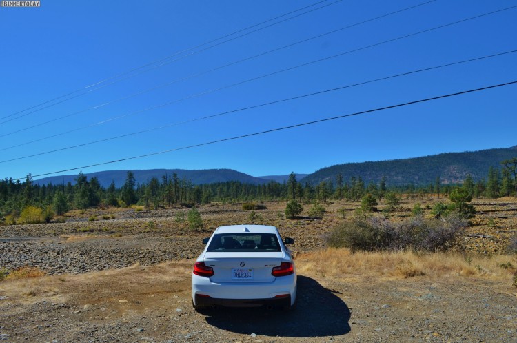 BMW-M235i-USA-Roadtrip-Redwood-National-Park02