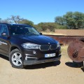 BMW-Namibia-Driving-Experience-Afrika-02