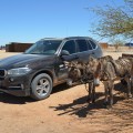 BMW-Namibia-Driving-Experience-Afrika-43