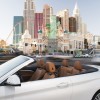 BMW-4er-Cabrio-F33-Wallpaper-Las-Vegas-Nevada-2014-435i-Mineralweiss-14