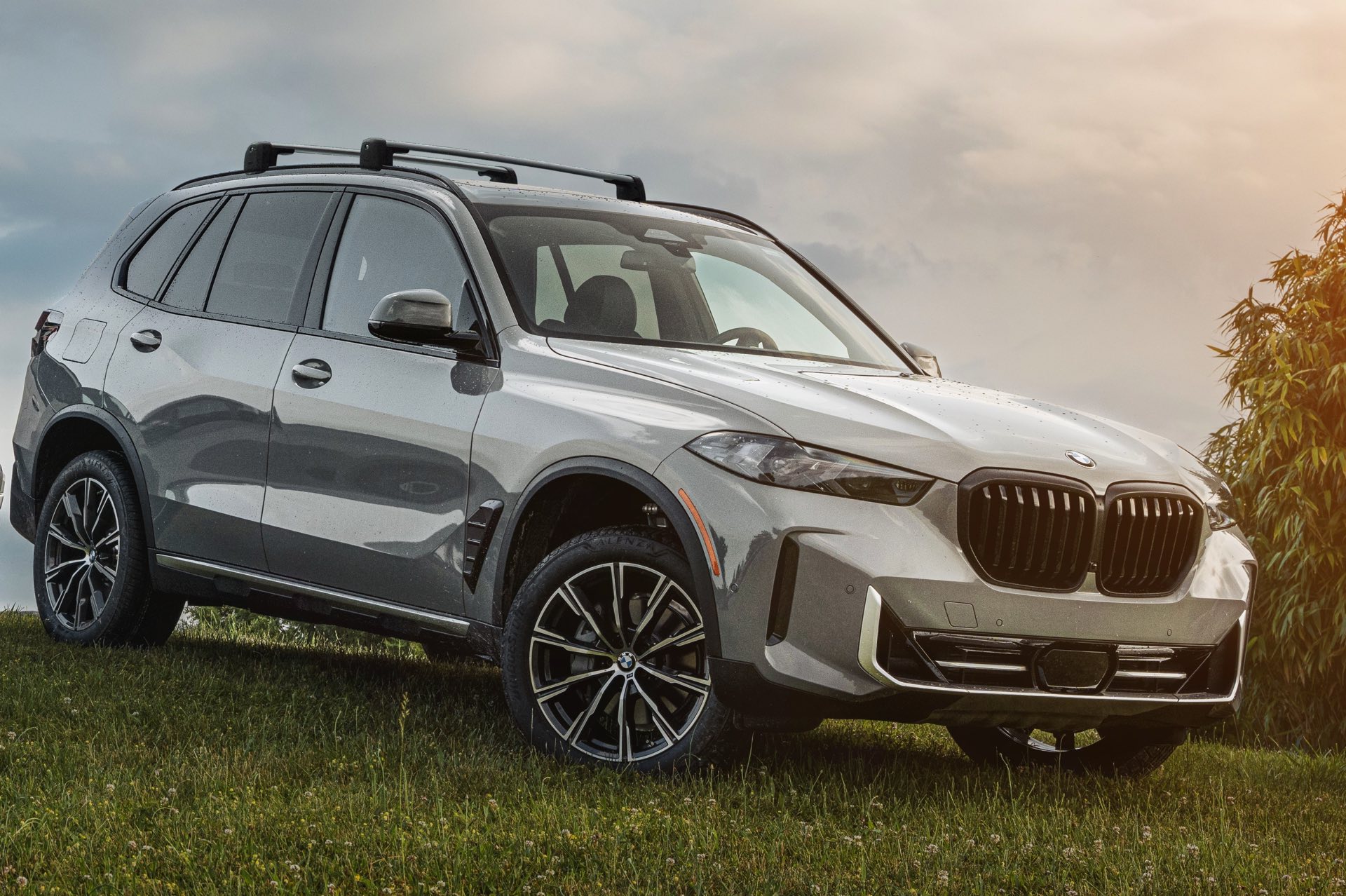 Nur in Lime Rock Grey: BMW X5 Silver Anniversary Edition